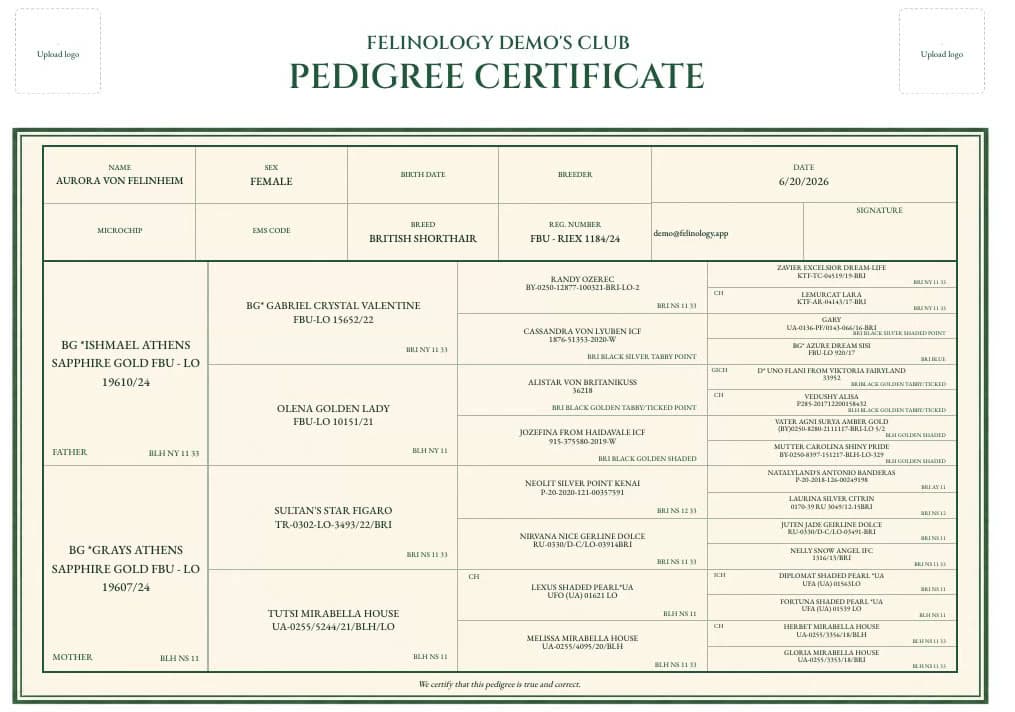 Aurora von Felinheim pedigree ready to export